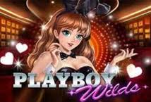 Mencari Cara Agar JP Di Playboy Wilds